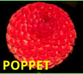 POPPET