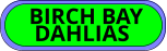 BIRCH BAY  DAHLIAS