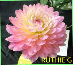 RUTHIE G